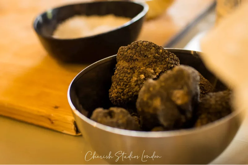 Truffle hunting experience in Tuscany
